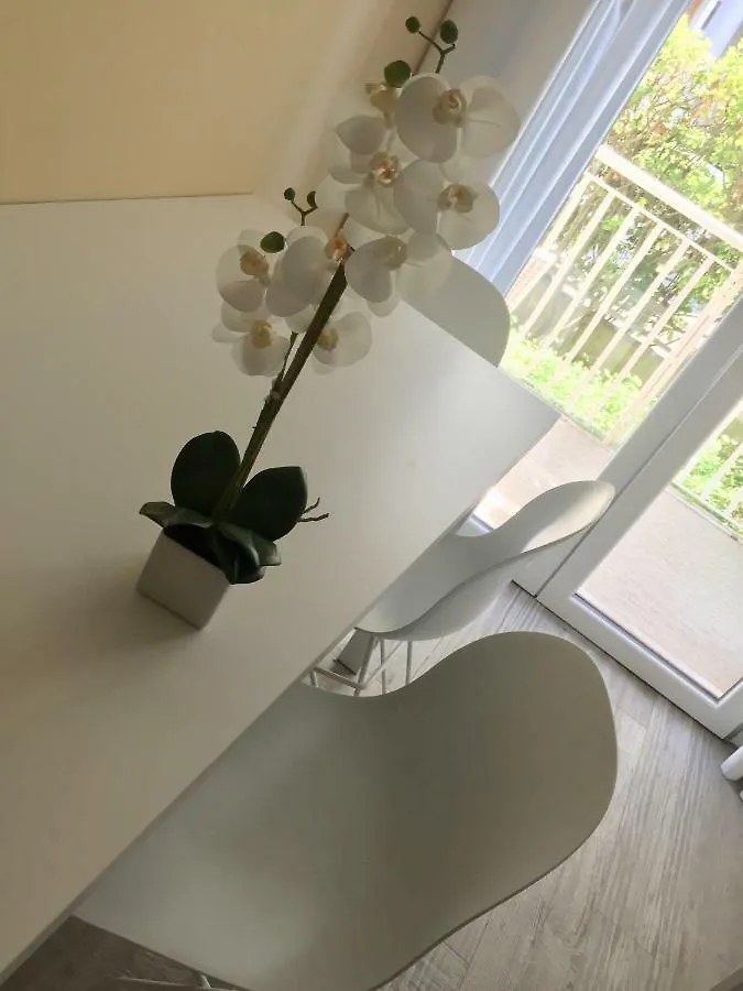 公寓 Piccolo Moderno Appartamento Sulla Spiaggia In Centro 利多迪迪耶索洛